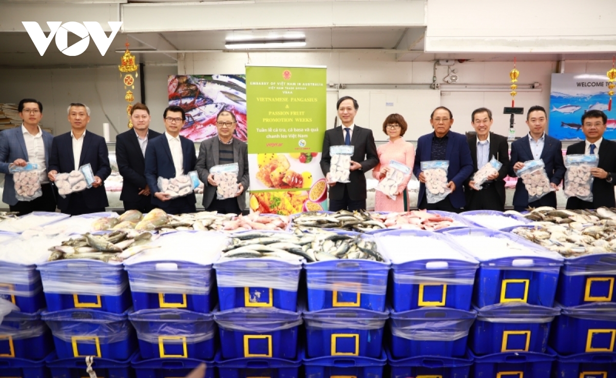 Construir una marca de pescado vietnamita en el mercado australiano