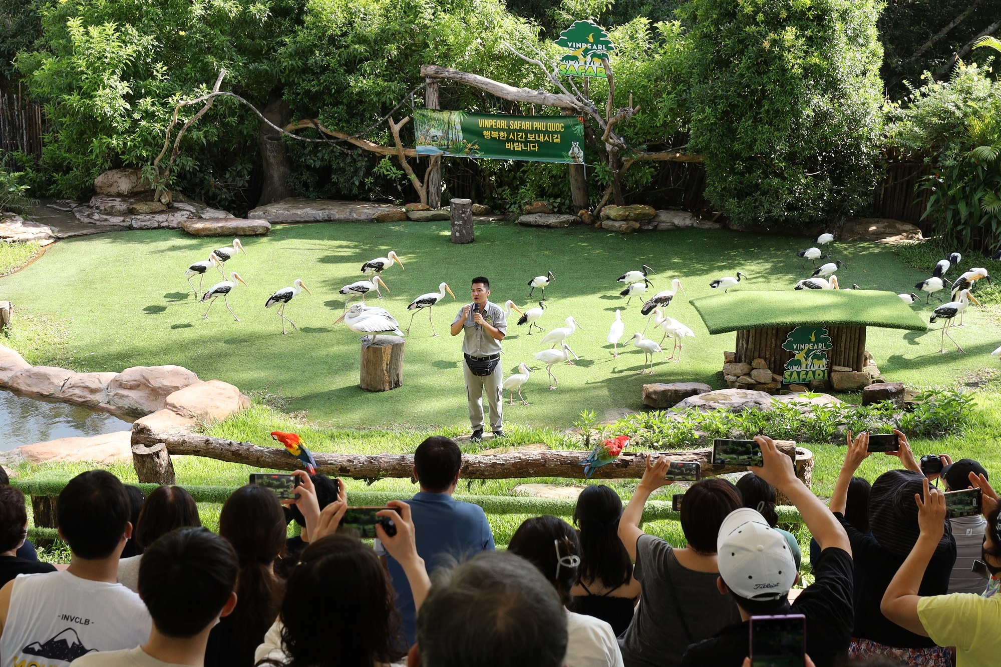 Dos días de turistas surcoreanos en la isla de Phu Quoc