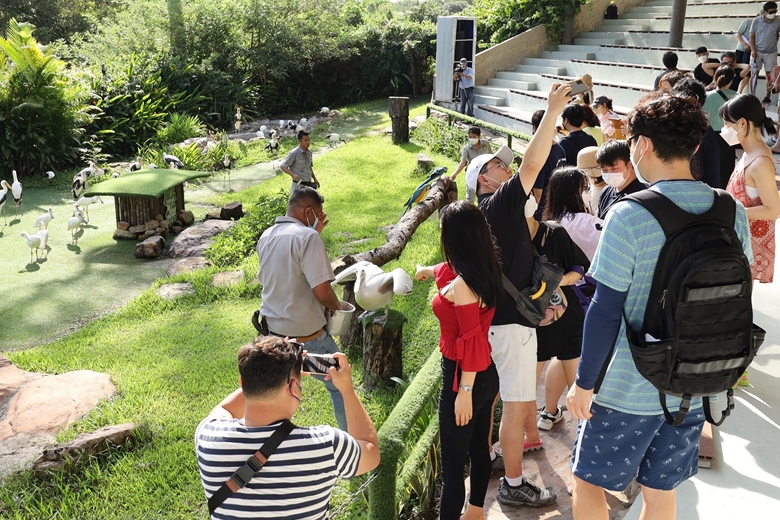 Cambio significativo en el número de visitantes internacionales a Vietnam en noviembre