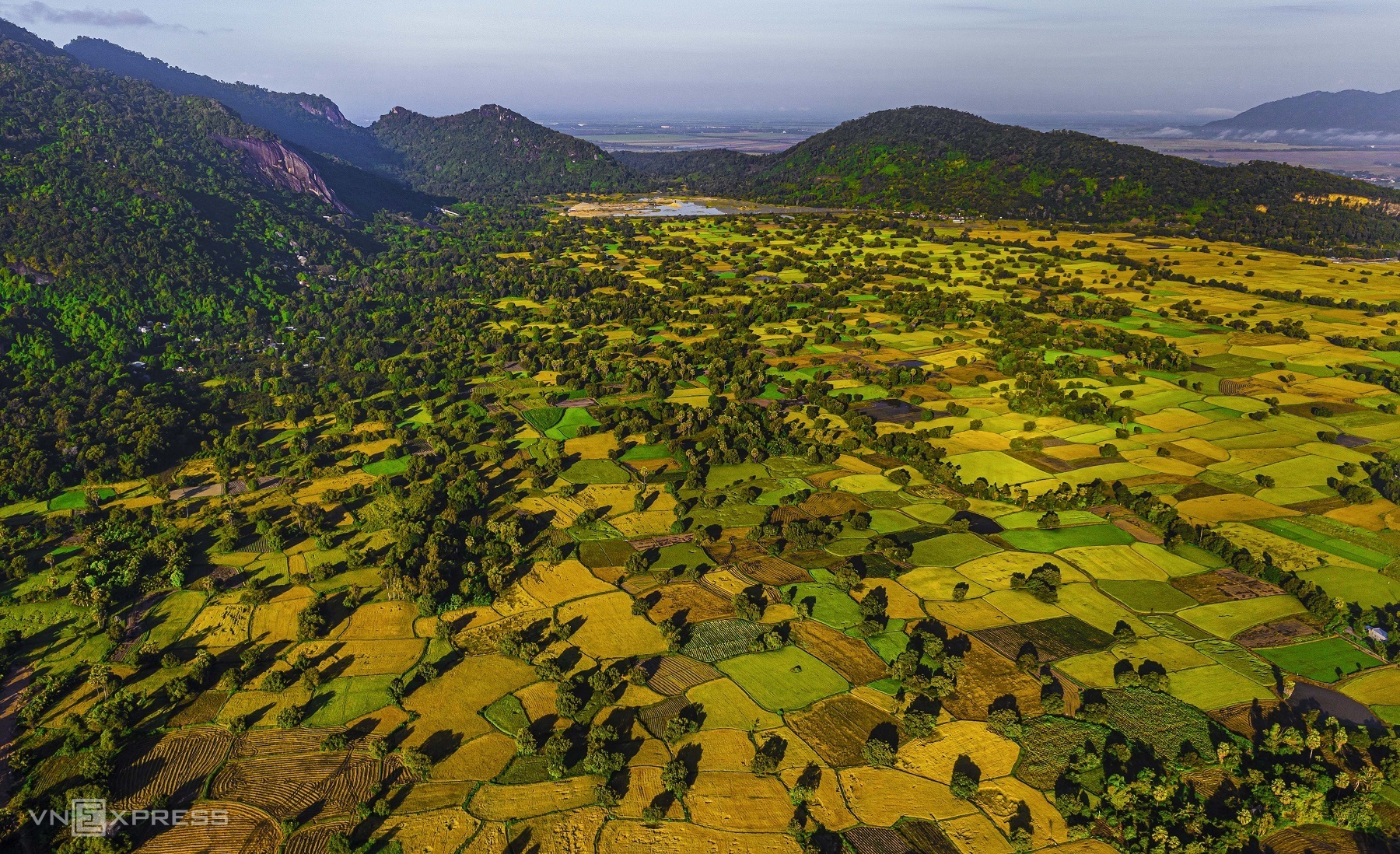 Los campos de Ta Pa en la temporada de cosecha