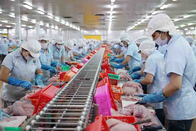 Buenas perspectivas de la exportación de productos pesqueros de Vietnam en lo que resta de 2021