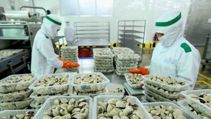 Vietnam exporta primer contenedor de carne de almeja enlatada a Europa
