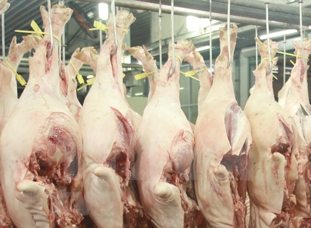 China se convierte en el mayor comprador de carne de Vietnam