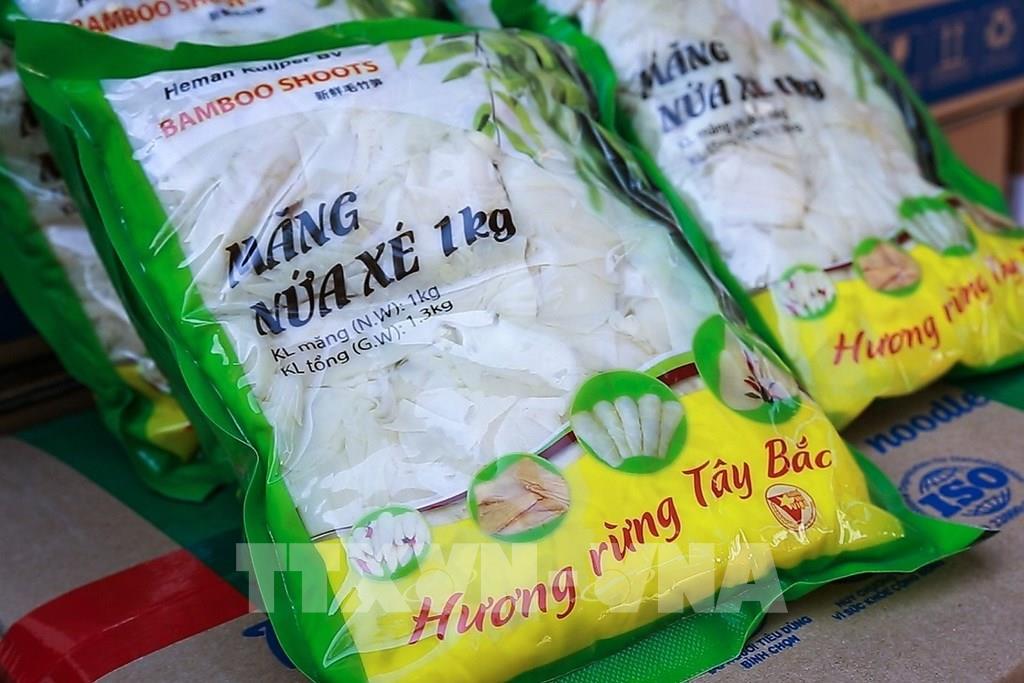 Exportadas 28 toneladas de brotes de bambú frescos a los Países Bajos
