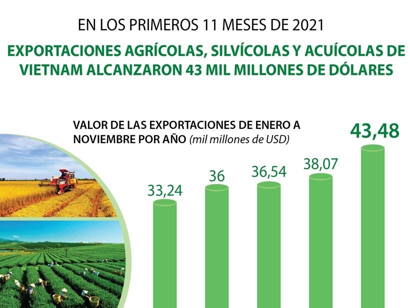 Exportaciones agro-silvícolas y acuícolas de Vietnam aumentan de enero a noviembre