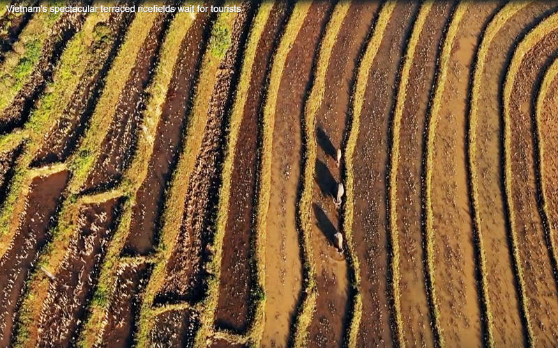 Los campos en terrazas de Mu Cang Chai en imágenes de la AFP