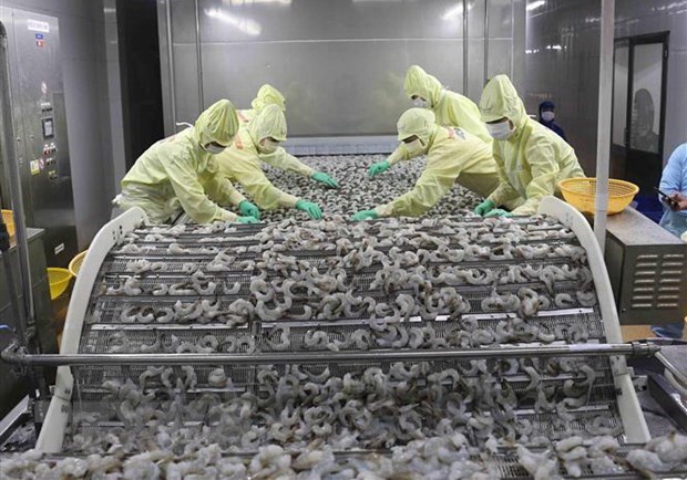 Hacia nuevas oportunidades de cooperación para las empresas Vietnam-Brasil