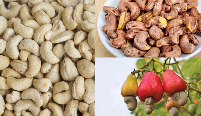 Las exportaciones de anacardos de Vietnam crecen a pesar de la COVID-19