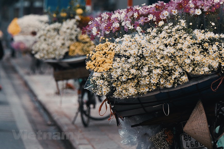 Momentos románticos del invierno en Hanói