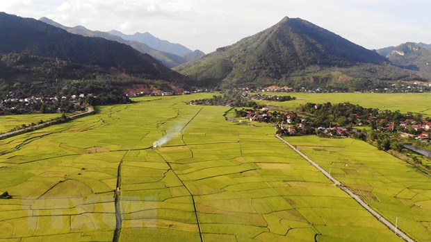 Viet Nam y la FAO firman un nuevo marco del programa de cooperación
