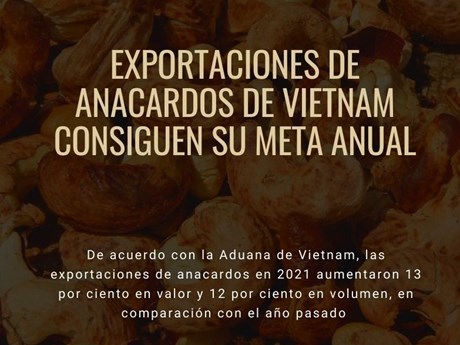 Exportaciones de anacardos de Vietnam consiguen su meta anual