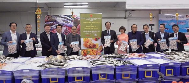 Exposición promueve las exportaciones de pangasius vietnamita en Australia