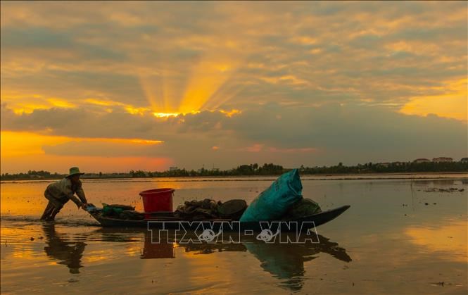 Belleza de final de temporada flotante en provincia vietnamita de Hau Giang