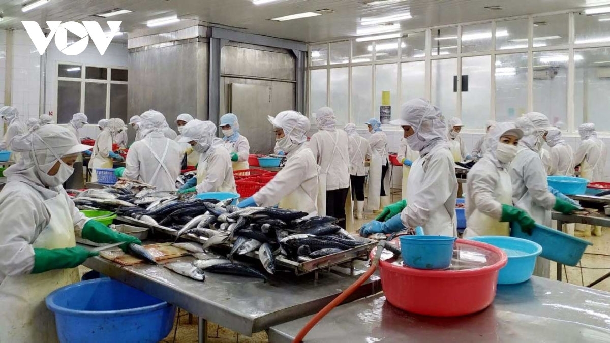 Las exportaciones de Vietnam superan los 335 mil millones de dólares en 2021
