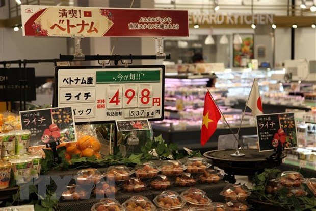 Feria comercial para conectar empresas japonesas y vietnamitas
