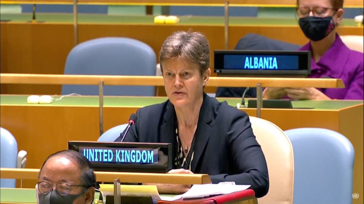 Diplomática británica elogia los aportes de Vietnam al Consejo de Seguridad de la ONU