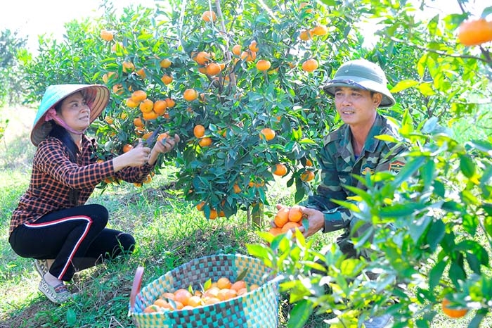 Frutas típicas de Hai Duong