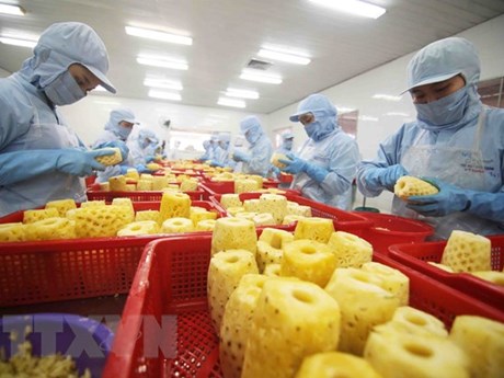 Más oportunidades para exportaciones vietnamitas de frutas y hortalizas el próximo año
