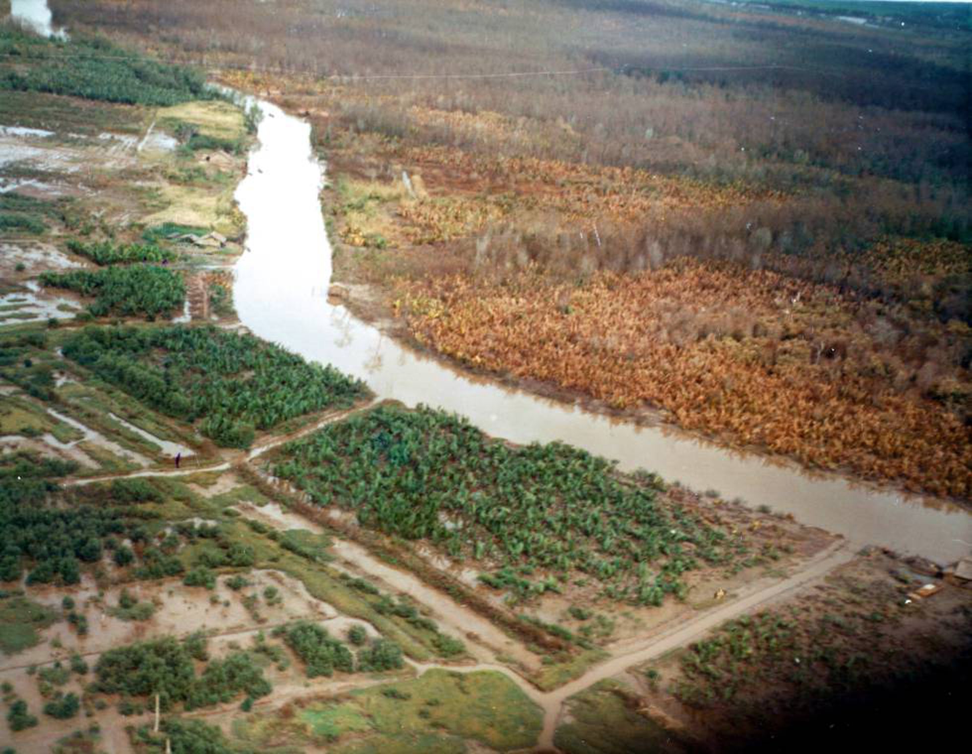 El 100 de las áreas contaminadas con dioxinas será limpiado