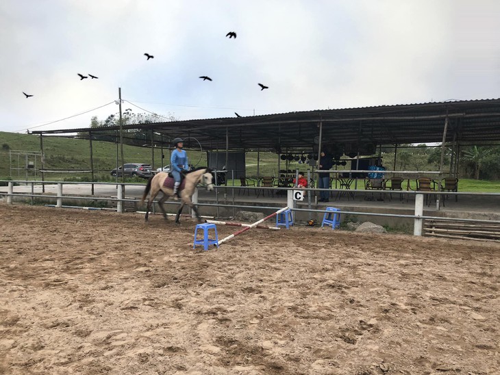Hanoi Pony Club, un destino ideal para los amantes de los caballos