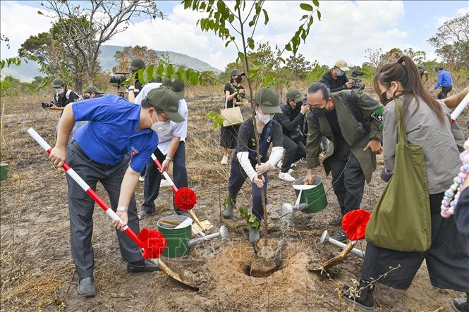 Sindicatos de jóvenes plantan más de 1 000 árboles en la Reserva Natural Ta Cu