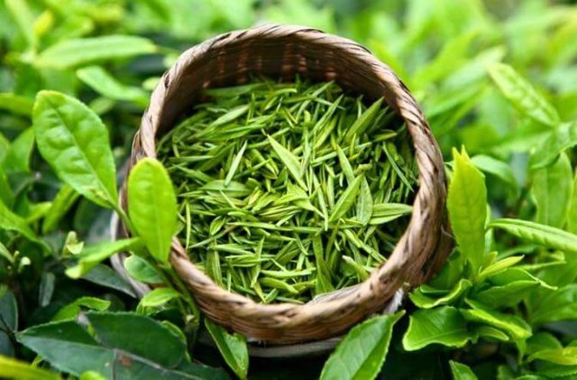 El té de Vietnam representa más del 50 del volumen de importación de té de Taiwán