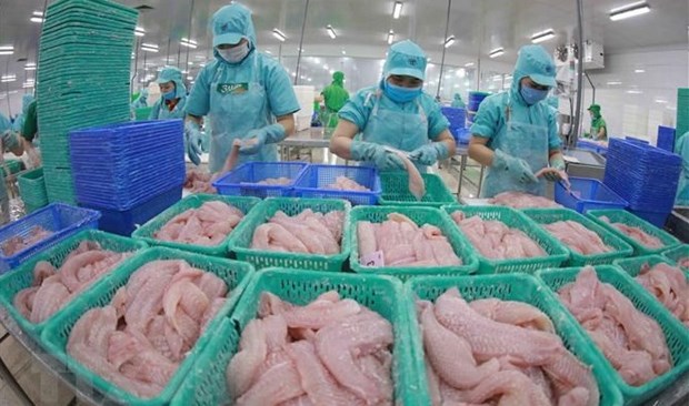 Vietnam podrá obtener ingreso multimillonario por exportaciones de pescado Tra en 2022