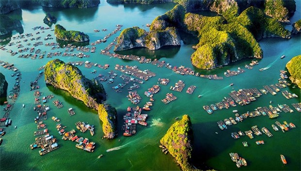 Fotógrafo vietnamita conquista medalla dorada en concurso internacional