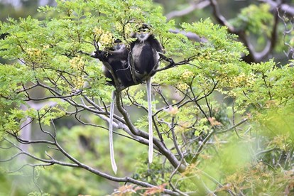Biodiversidad Vietnam premia a 21 grupos e individuos