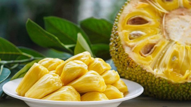 Vietnam promueve exportaciones de yaca congelada a Australia