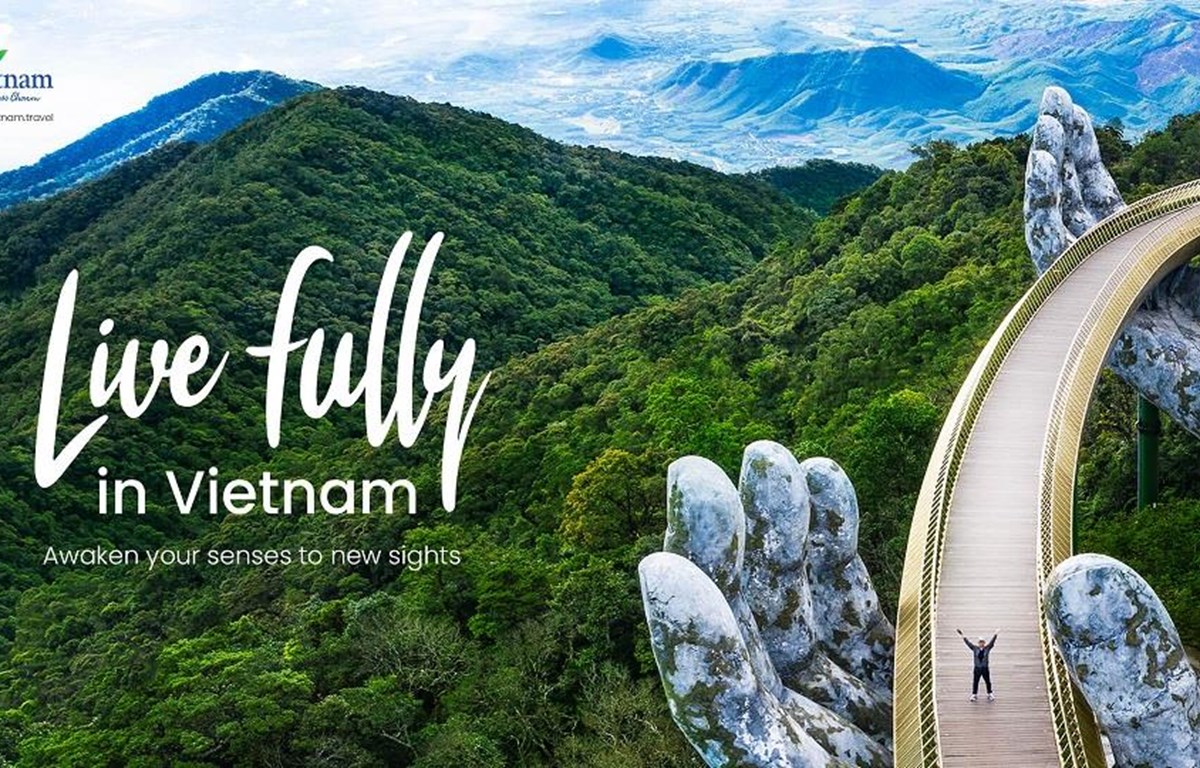 Ciudades vietnamitas honradas en Foro de Turismo de la ASEAN