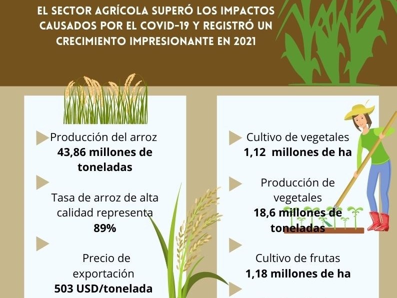 Sector agrícola de Vietnam registró crecimiento en 2021