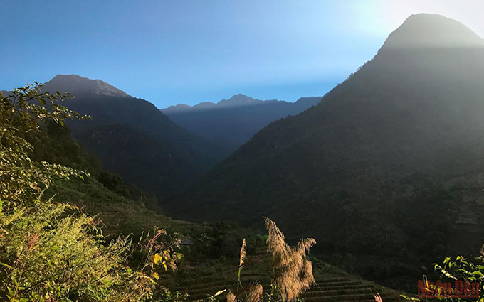 El antiguo bosque de Pu Ta Leng