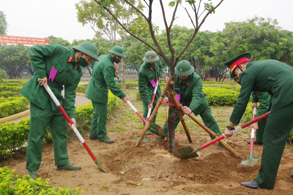 Festival de plantación de árboles en ocasión del Año Nuevo Lunar una actividad para fortalecer la protección de los bosques