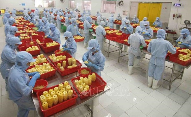 Productos vietnamitas buscan conquistar mercado euroasiático