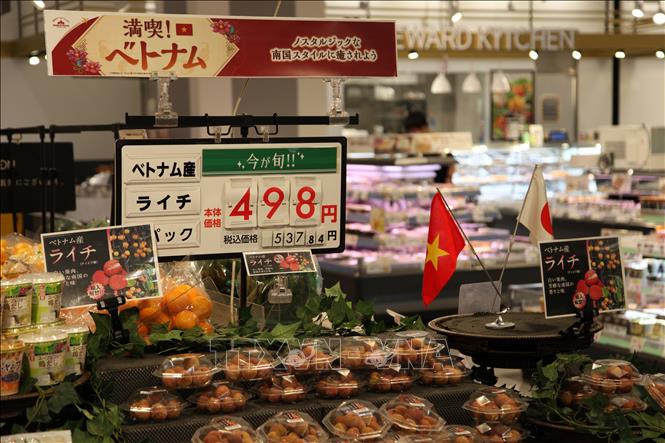 Más nicho de mercado para productos vietnamitas en Japón