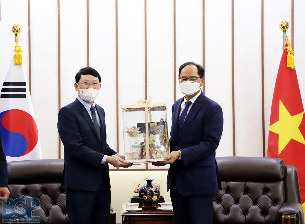 La provincia de Bac Giang organiza diversas actividades para celebrar el 30 º aniversario de relaciones diplomáticas entre Vietnam y Corea del Sur
