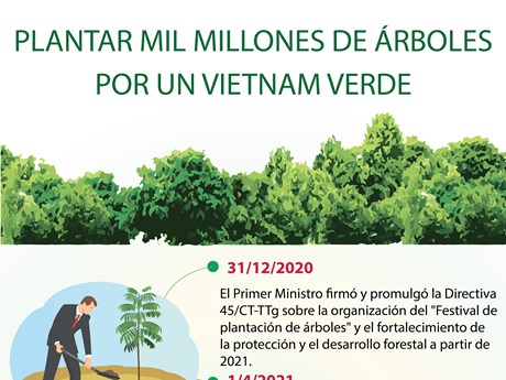 Plantar mil millones de árboles por un Vietnam verde