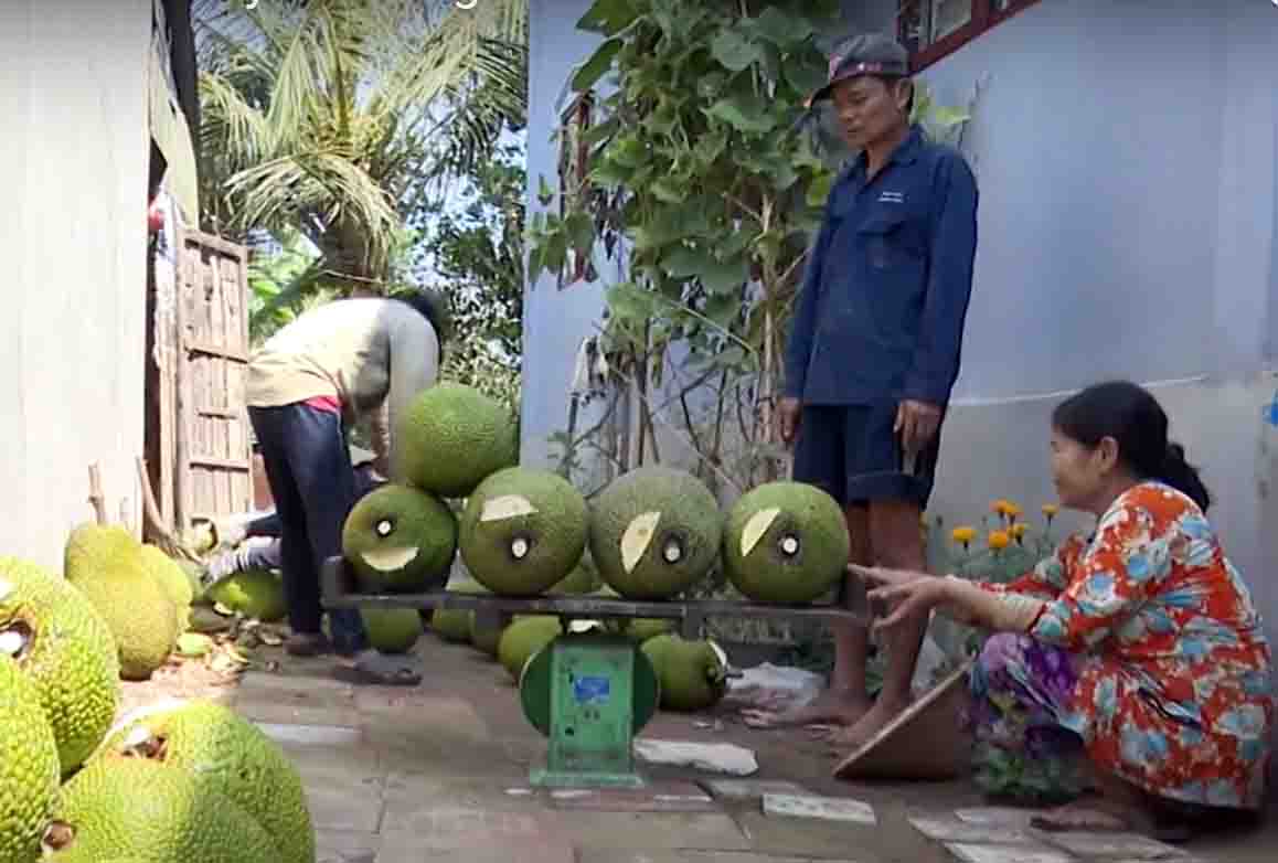 Vietnam promueve exportaciones de yaca congelada a Australia