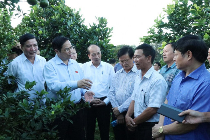 Vietnam construye una economía agrícola moderna y sostenible