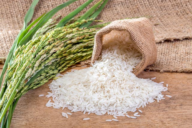 El arroz vietnamita disfrutará de trato preferencial en Corea del Sur en 2022