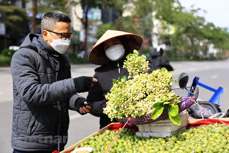 Las calles de Hanói en la temporada de flores de pomelo