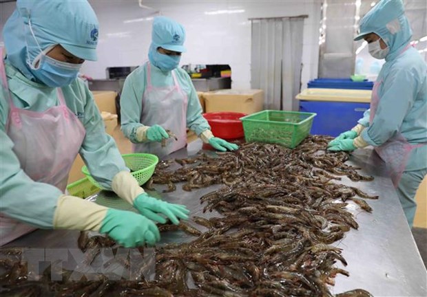El comercio agrícola de Vietnam registró un aumento interanual de casi el 87