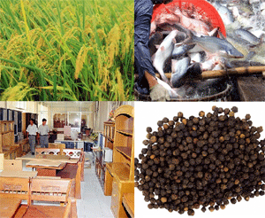 Exportaciones de productos agroforestales y acuícolas de Vietnam aumentaron 20,9