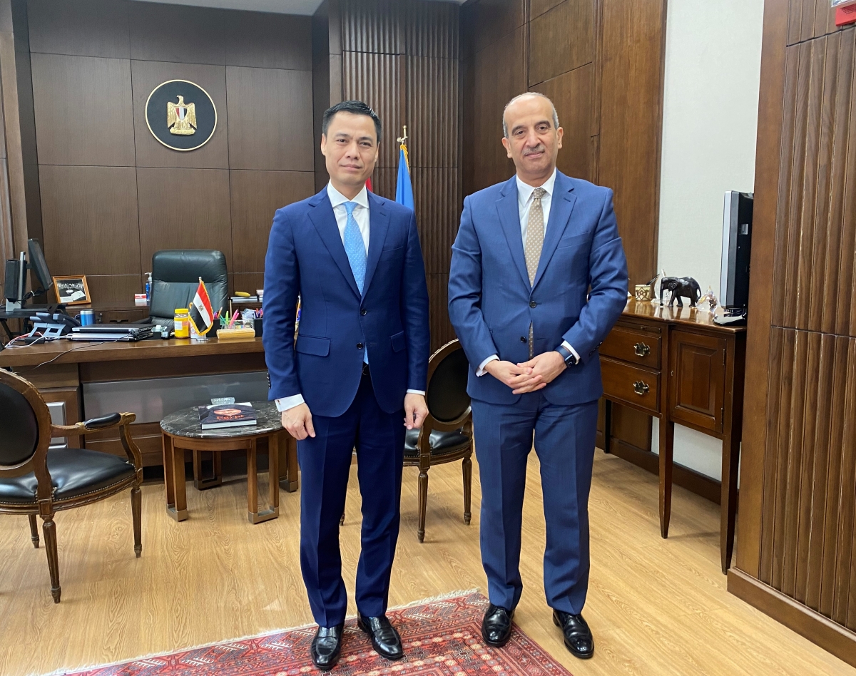 Afianzamiento de la cooperación Vietnam-Egipto