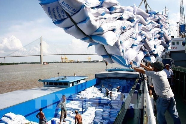 Banco Mundial La economía de Vietnam sigue mostrando resiliencia