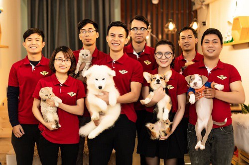 Spa para mascotas una tendencia floreciente en Hanói