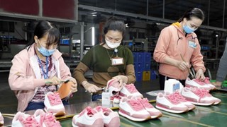 Nueve productos con valor de exportaciones superior a los mil millones de dólares
