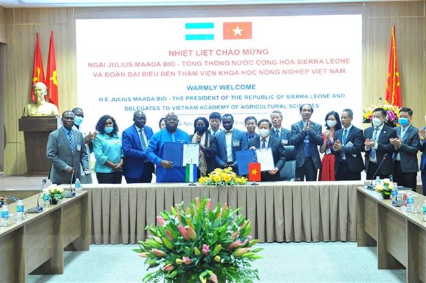 Vietnam y Sierra Leona promueven cooperación en agricultura y transformación digital