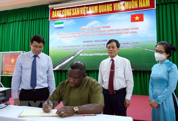 Sierra Leona fomenta la cooperación con Vietnam en la agricultura